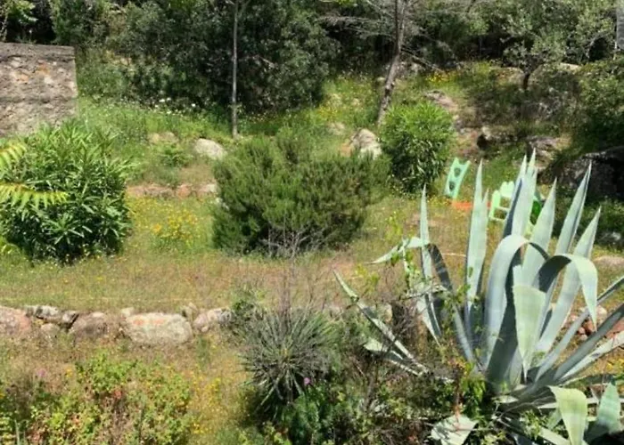 Apartament T2 Vue & Montagne Golfe De Porto-ota *