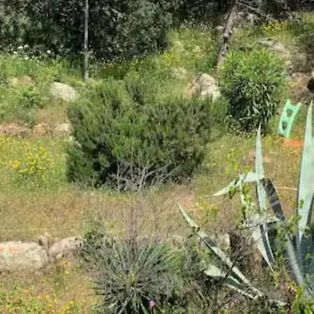 T2 Vue & Montagnes דירה *