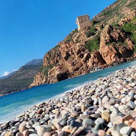 T2 Vue Mer & Montagne Golfe De Porto-Ota Apartmán