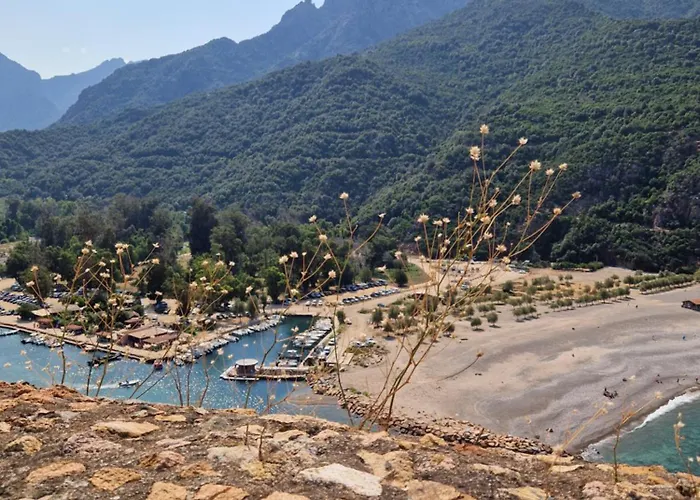 T2 Vue & Montagne Golfe De Porto-ota דירה *